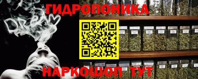 apvp Гай